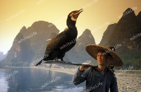 the landscape at the Li River near Yangshou near the city of  Guilin in the Province of Guangxi in china in east asia. 