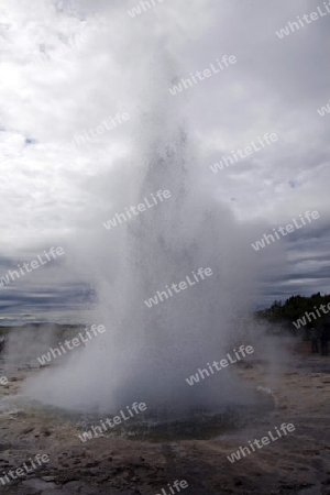 Geysir