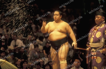 a Sumo fight in the Sumo Arena in the City centre of Tokyo in Japan in Asia,