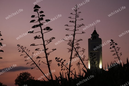 AFRIKA, NORDAFRIKA, TUNESIEN, SIDI BOU SAID, ALTSTADT, MINARETT, MOSCHEE, ABEND, 