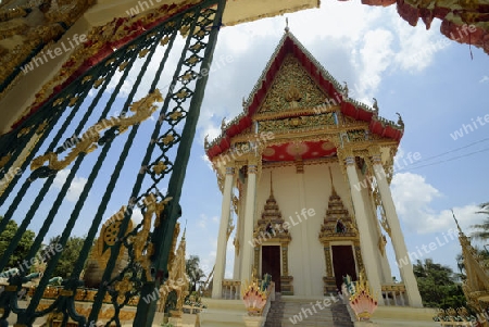 Der Tempel Wat Pak Saeng bei Lakhon Pheng am Mekong River in der Provinz Amnat Charoen nordwestlich von Ubon Ratchathani im nordosten von Thailand in Suedostasien.