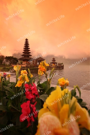 Asien, Suedost, Indonesien, Bali, Insel, Zentral Bali, Lake, Bratan, See, Tempel, Pura Ulun Danu, Landschaft,   (Urs Flueeler) 