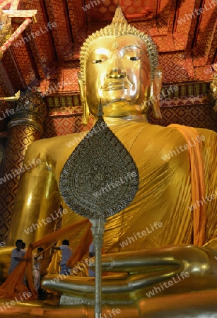 A allday ceremony in the Wat Phanan Choeng Temple in City of Ayutthaya in the north of Bangkok in Thailand, Southeastasia.