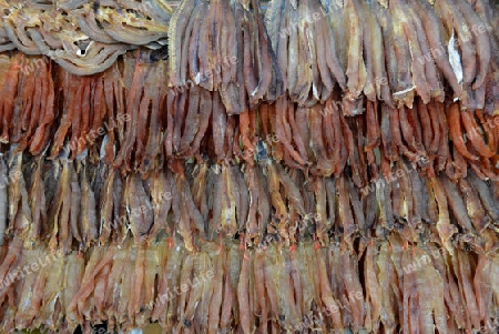 The Market in the old City of Siem Riep neat the Ankro Wat Temples in the west of Cambodia.