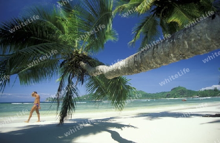 Ein Traumstrand auf der Insel Praslin auf den Seychellen im Indischen Ozean.