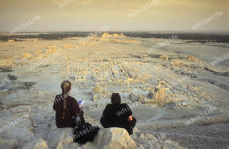 Das Tempeldorf und Oase Palmyra im osten von Syrien.