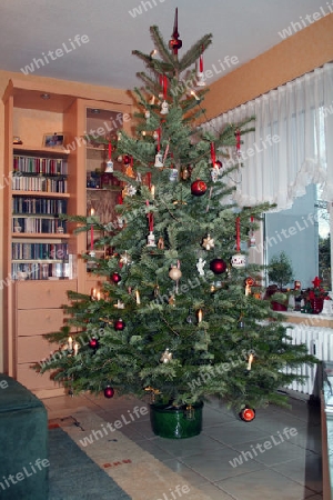 Weihnachtsbaum