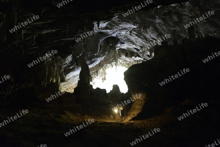 Die Hoehle Cave Pangmapha in der Bergregion von Soppong im norden von Thailand in Suedostasien.