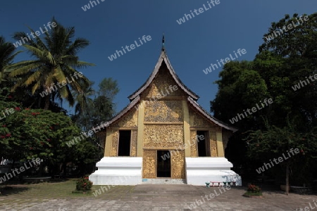 Der Tempel Xieng Thong in der Altstadt von Luang Prabang in Zentrallaos von Laos in Suedostasien.