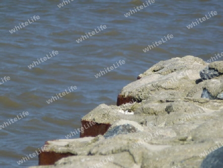 Felsen am Meer