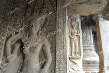 The Angkor Wat in the Temple City of Angkor near the City of Siem Riep in the west of Cambodia.