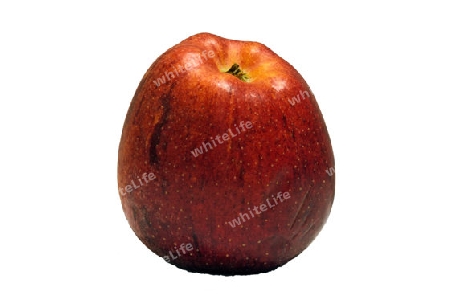 Apfel (Malus)