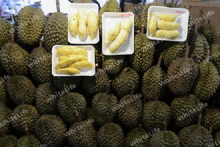 Durian Fruechte auf dem Day Markt in der Hauptstadt Phuket Town auf der Insel Phuket im sueden von Thailand in Suedostasien.