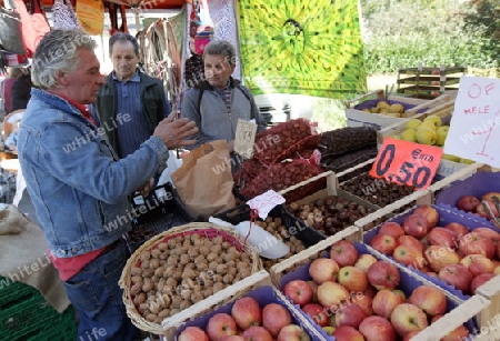 the market at the traditional cow Market in the Farmer Village of Armeno near the Fishingvillage of Orta on the Lake Orta in the Lombardia  in north Italy. 