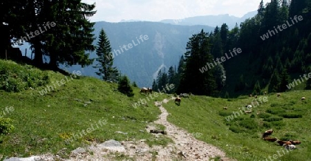 Wendelstein in Bayern