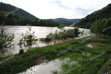 Hochwasser Rhein-Neckar