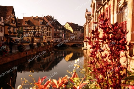 the old city of Colmar in  the province of Alsace in France in Europe