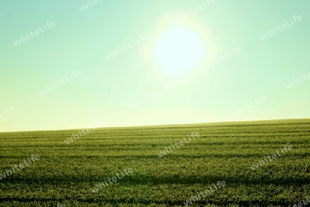 Feld und Himmel