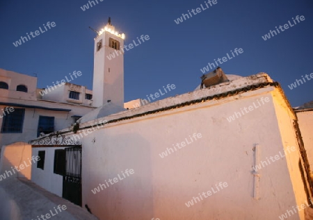 Afrika, Nordafrika, Tunesien, Tunis
Die Moschee mit dem Minarett in Altstadt von Sidi Bou Said am Mittelmeer und noerdlich der Tunesischen Hauptstadt Tunis. 






