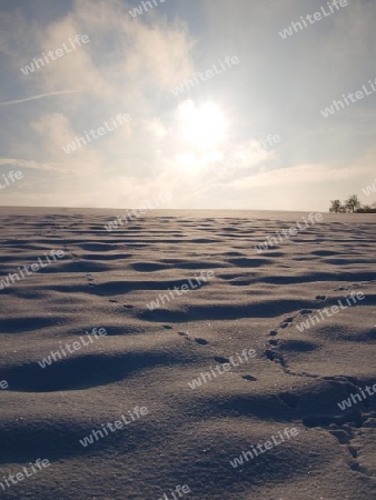 Spuren im Schnee