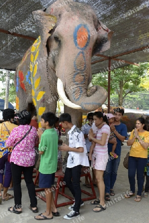 Das Songkran Fest oder Wasserfest zum Thailaendischen Neujahr ist im vollem Gange in Ayutthaya noerdlich von Bangkok in Thailand in Suedostasien.  