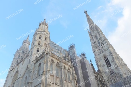 Stephansdom in Renovierung