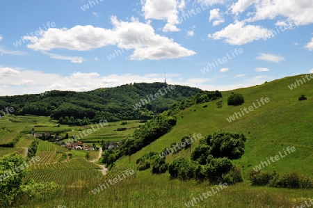 Alt-Vogsburg im Kaiserstuhl 