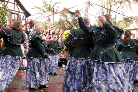 Amerika, Suedamerika, Venezuela, Deutsche Kolonie, Colonia Tovar, Bergdorf,  Das traditionelle Patronsfest des Heiligen Martin am Martinstag 11.November 2008 mit Deutschen Folkstaenzen und Deutschen Trachten im Bergdorf Colonia Tovar der ehemaligen