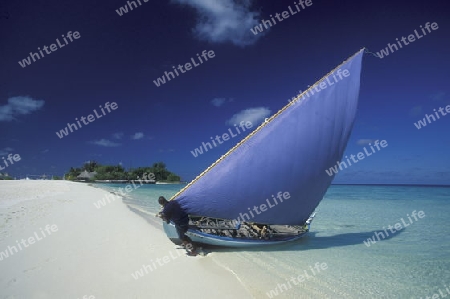 
Der Traumstrand mit Palmen und weissem Sand an der Insel Velavaru im Southmale Atoll auf den Inseln der Malediven im Indischen Ozean.   