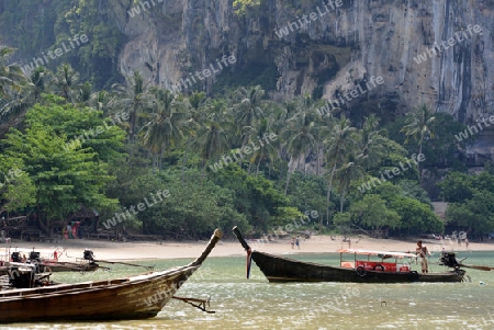 The Hat Tom Sai Beach at Railay near Ao Nang outside of the City of Krabi on the Andaman Sea in the south of Thailand. 