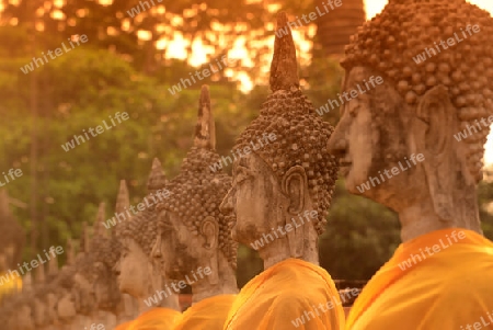 The Wat Yai Chai Mongkol Temple in City of Ayutthaya in the north of Bangkok in Thailand, Southeastasia.