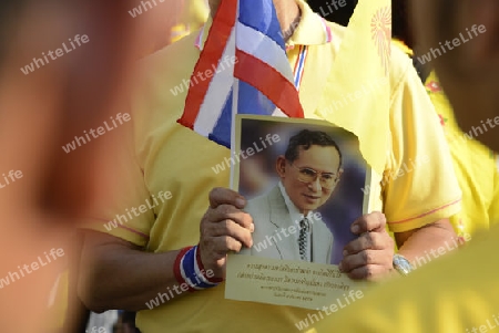 Tausende von Thailaender zelebrieren den Kroenungstag des Koenig Bhumibol auf dem Sanam Luang Park vor dem Wat Phra Kaew in der Stadt Bangkok in Thailand in Suedostasien.  