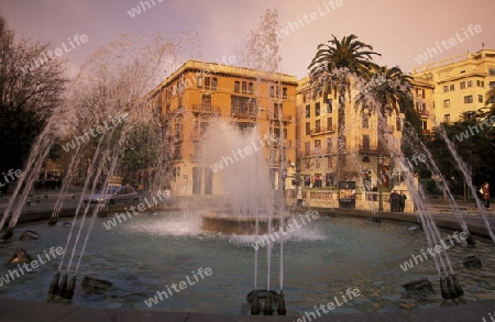 Die Palca de la Reina in der Altstadt von Palma de Mallorca der Hauptstadt der Insel Mallorca einer der Balearen Inseln im Mittelmeer.   