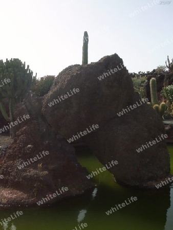 Lanzarote,Skulptur im Kakteen-Garten von Cesar Manrique