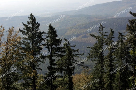 the Landscape from the Fort  Haut-Koenigsbourg near the village of Selestat  in the province of Alsace in France in Europe