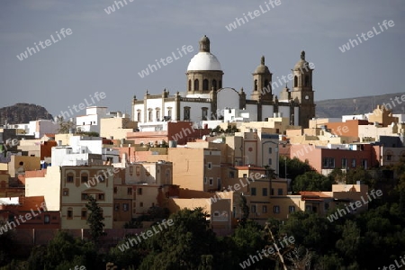 the old Town of Aguimes in the Aguimes valley on the Canary Island of Spain in the Atlantic ocean.