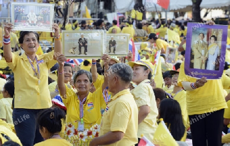 Tausende von Thailaender zelebrieren den Kroenungstag des Koenig Bhumibol auf dem Sanam Luang Park vor dem Wat Phra Kaew in der Stadt Bangkok in Thailand in Suedostasien.  