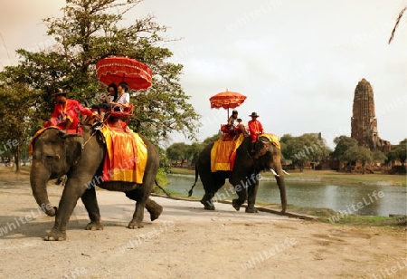 Ein Elephanten Taxi vor einem der vielen Tempel in der Tempelstadt Ayutthaya noerdlich von Bangkok in Thailand. 