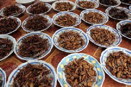 Der Talat Khouadin Markt in Vientiane der Hauptstadt von Laos in Suedostasien.