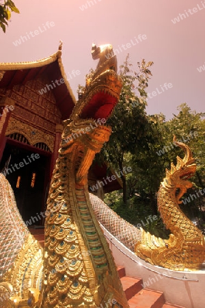 Der Wat Phra Kaew in der Altstadt von Chiang Rai in der Provinz chiang Rai im Norden von Thailand in Suedostasien.