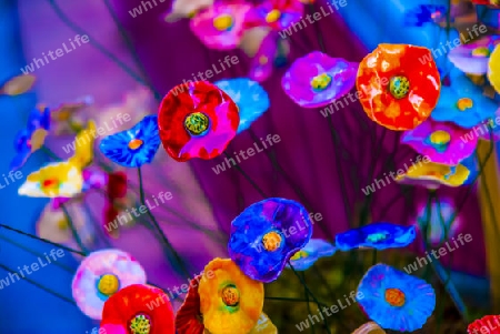 Colorful Ceramic Flowers