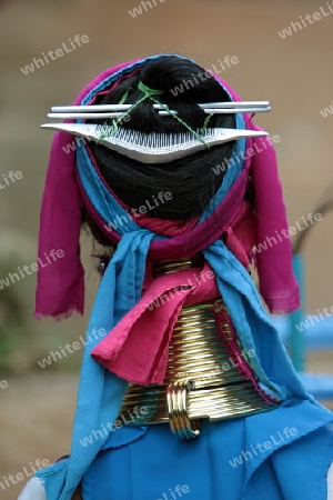 Eine Traditionell gekleidete Langhals Frau eines Paudang Stammes aus Burma lebt in einem Dorf noerdlich von Chiang Mai in Nord Thailand.