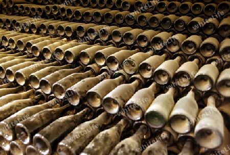 a wine farm in the centre of the Island of Lanzarote on the Canary Islands of Spain in the Atlantic Ocean.
