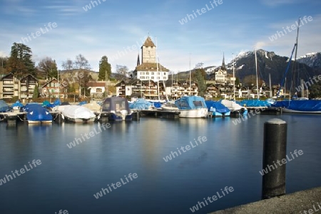 Thunersee im Herbst mit Spiezer Schloss