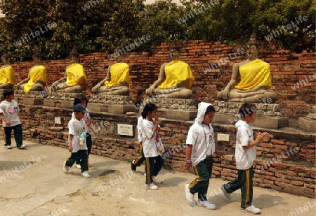 Der Wat Yai Chai Tempel in der Tempelstadt Ayutthaya noerdlich von Bangkok in Thailand. 