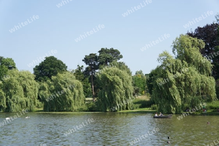 Hever garden