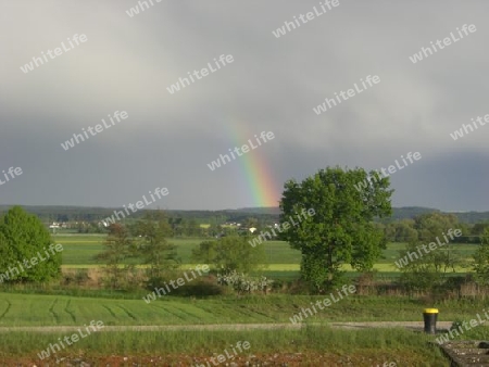 Nach dem Gewitter