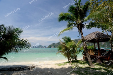 A Beach on the Island of Ko PhiPhi on Ko Phi Phi Island outside of the City of Krabi on the Andaman Sea in the south of Thailand. 