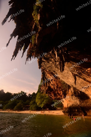 The Hat Phra Nang Beach at Railay near Ao Nang outside of the City of Krabi on the Andaman Sea in the south of Thailand. 