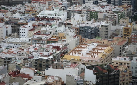 The view of the City of Santa Cruz on the Island of Tenerife on the Islands of Canary Islands of Spain in the Atlantic.  